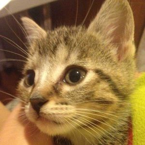 Meet your Posher, Leah